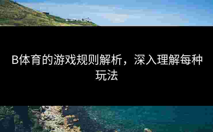 B体育的游戏规则解析，深入理解每种玩法