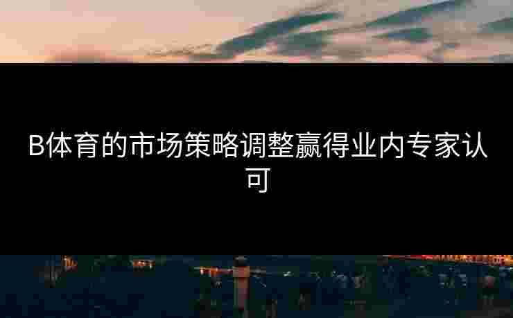 B体育的市场策略调整赢得业内专家认可